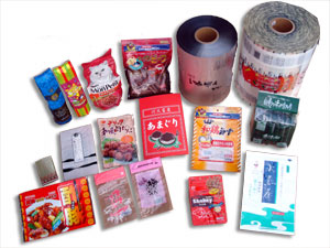 �t�C����